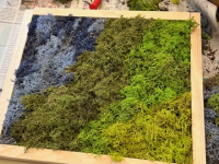 image0 image0