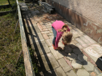 dscn5197