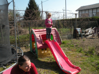 dscn5205